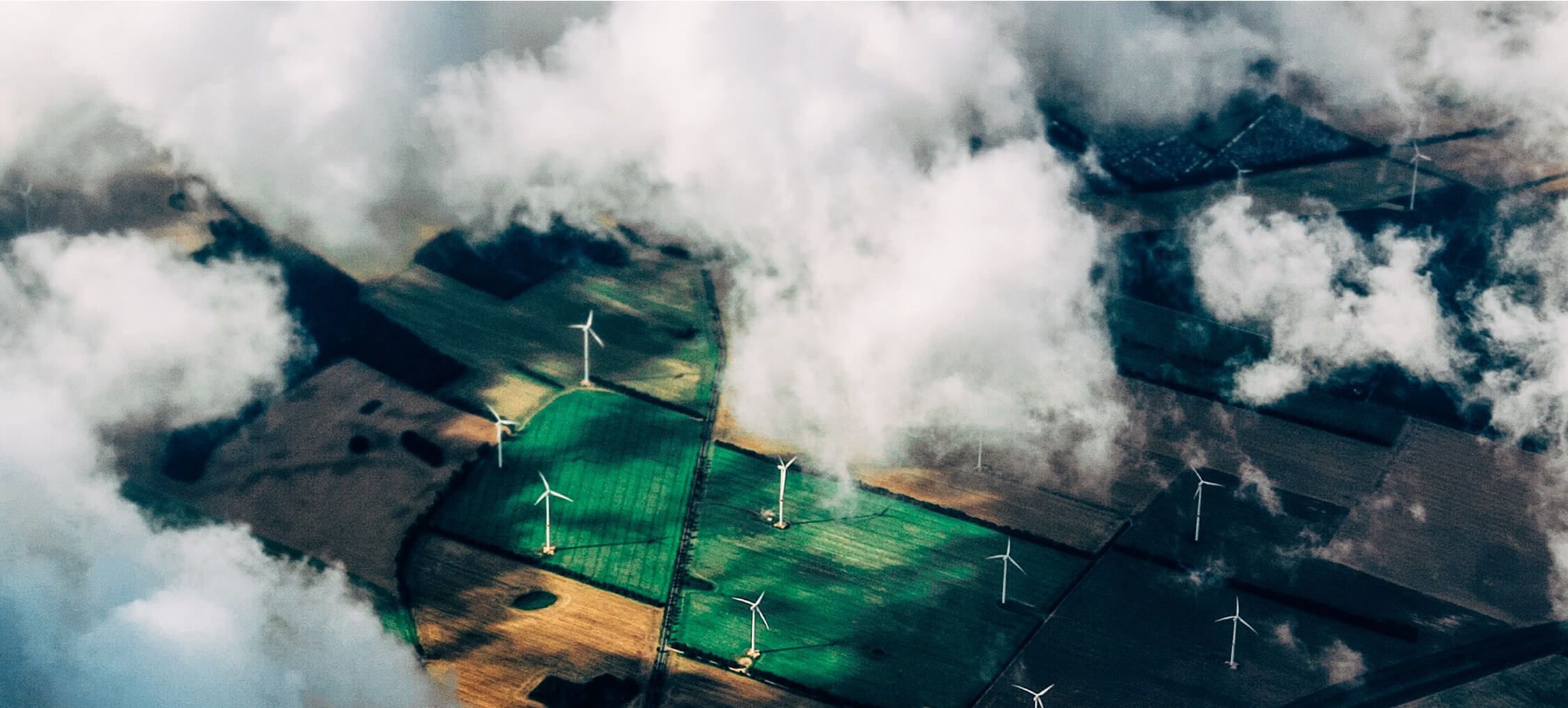 Essential Energy sustainability page — green energy research and initiatives